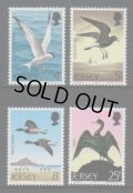 ジャージー島 切手 1975年　鳥　ヨーロッパヒメウ　海鳥　4種