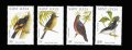セントルシア切手　1998年　鳥　4種