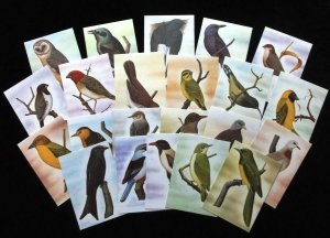 画像1: サントメプリンシペ切手　1983年　鳥　22種　MC用カード 22枚セット