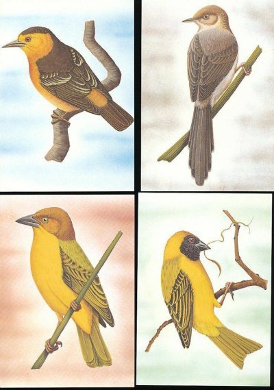 画像5: サントメプリンシペ切手　1983年　鳥　22種　MC用カード 22枚セット