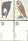 画像2: サントメプリンシペ切手　1983年　鳥　22種　MC用カード 22枚セット (2)