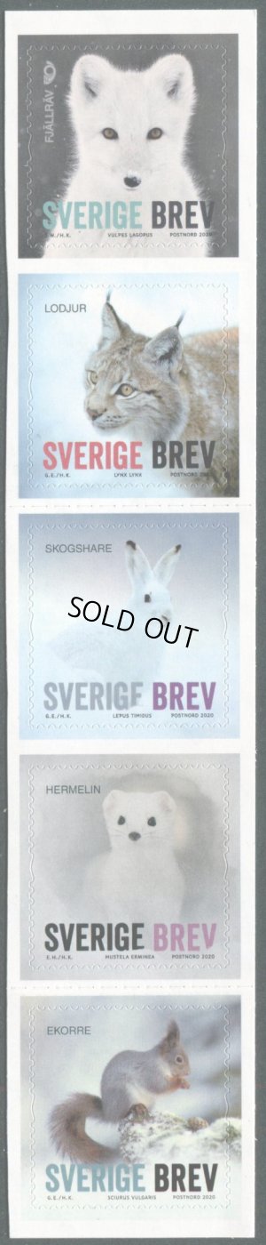 画像2: スウェーデン切手　2020年　冬の動物　ユキウサギ　5種　
