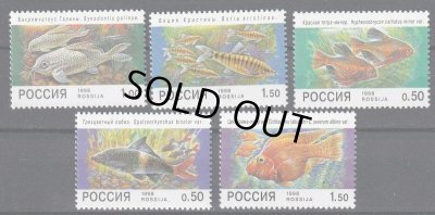 画像1: ロシア切手　1998年 　魚　5種