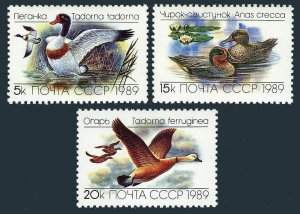 画像1: ロシア　旧ソ連切手　1989年 海鳥　カモ　3種