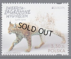 画像1: ポーランド切手　2021年　鳥　猛禽類　C.E.P.T.　絶滅危惧種　オオヤマネコ　野生のネコ　1種