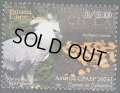 パナマ切手　2003年　アメリカ問題：絶滅の種　カエル　鷲　鳥　1種