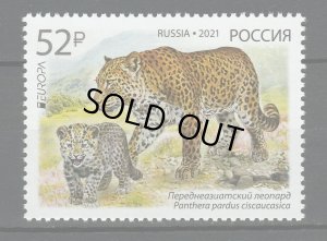 画像1: ロシア切手　2021年　ヨーロッパ　C.E.P.T.　絶滅危惧種　ペルシャヒョウ　1種