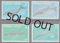 フォークランド諸島切手　1989年　海洋生物　ザトウクジラ　6種