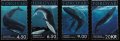 フェロー諸島切手　 2001年　海洋生物　ナガスクジラ　4種