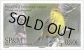 サンピエール島・ミクロン島切手　2018年　鳥　チャガシラアメリカムシクイ  1種