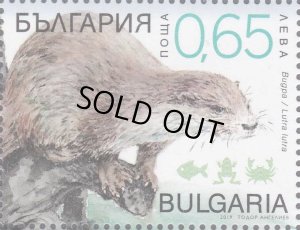 画像1: ブルガリア切手　 2019年　 ユーラシアカワウソ　1種