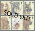 ガーンジー島切手  　2001年　犬　ガーンジー ドッグクラブ100周年　ウエスト・ハイランド・ホワイト・テリア　6種
