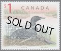 カナダ切手　1998年　鳥　ハシグロアビ　1種
