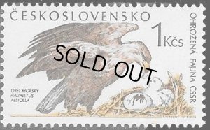 画像1: チェコスロバキア切手 1989年　鳥　オジロワシ　猛禽類　1種