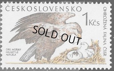 画像1: チェコスロバキア切手 1989年　鳥　オジロワシ　猛禽類　1種