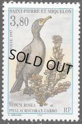 サンピエール島・ミクロン島切手　1997年　鳥 　カワウ 　1種