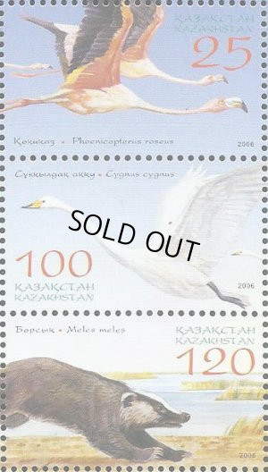 画像1: カザフスタン切手　2006年　自然保護区　鳥　ヨーロッパアナグマ　3種