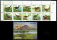 画像2: エルサルバドル切手  1999年　 ジョコタルラグーンの鳥　鳥保護区　11種 (2)