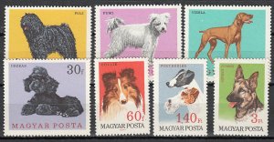 画像1: ハンガリー切手 1967年　犬　7種