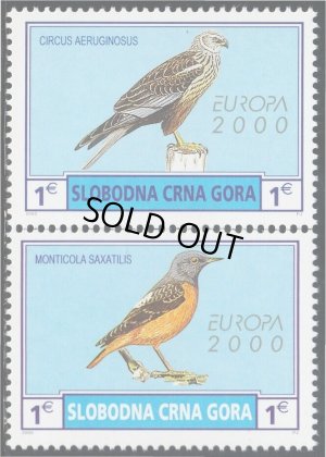 画像1: モンテネグロ切手　2000年　鳥　2種