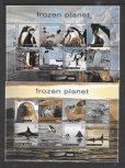 画像1: イギリス領南極地方　2011年　フローズンプラネット　アデリーペンギン　　16種 (1)