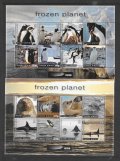 イギリス領南極地方　2011年　フローズンプラネット　アデリーペンギン　　16種