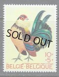 ベルギー切手　 1969年　ベルギーの鶏　鳥　1種　