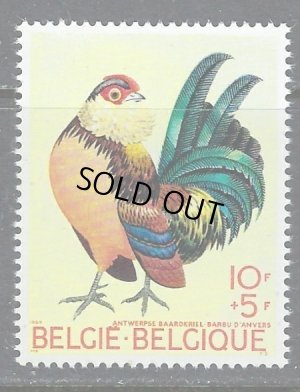 画像1: ベルギー切手　 1969年　ベルギーの鶏　鳥　1種　