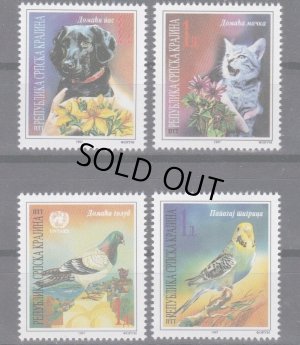 画像1: ウクライナ・セルビア人共和国切手　1995年　鳥　セキセイインコ　犬 ネコ　4種