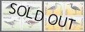 フィリピン切手　1999年　鳥　渡り鳥　オオアジサシ　8種