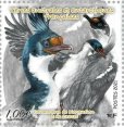 画像1: フランス領南方南極地域切手　2021年　ケルゲレン諸島とクロゼット諸島　鳥　1種 (1)