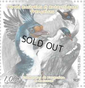 画像1: フランス領南方南極地域切手　2021年　ケルゲレン諸島とクロゼット諸島　鳥　1種