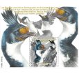画像2: フランス領南方南極地域切手　2021年　ケルゲレン諸島とクロゼット諸島　鳥　1種 (2)
