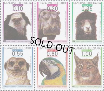 画像1: ブルガリア切手　2008年　動物　ソフィア動物園120周年　ルリコンゴウインコ　6種