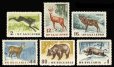 画像1: ブルガリア切手　1958年　森の動物　ヤブノウサギ　6種　 (1)