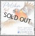 ポーランド切手　2019年　鳥　ズアオアトリ　ヨーロッパ C.E.P.T.　1種
