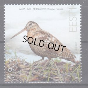 画像1: エストニア切手　2022年　鳥　ヤマシギ　1種