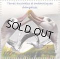 フランス領南極地域切手　2020年　鳥　ワタリアホウドリ　1種