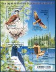 画像2: ニューカレドニア切手　2017年　鳥　ニューカレドニアの猛禽類　ムナグロオオタカ　4種 (2)