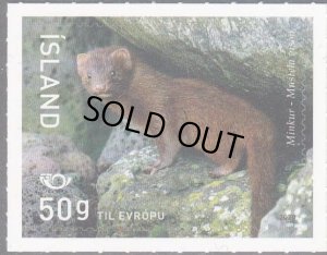 画像1: アイスランド切手　2020年　ミンク　動物　1種