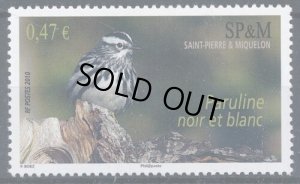 画像1: サンピエール島・ミクロン島切手　2010年　鳥　シロクロアメリカムシクイ  1種