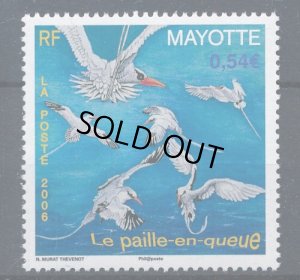 画像1: フランス　マヨット切手　2006年　鳥　シラオネッタイチョウ　1種