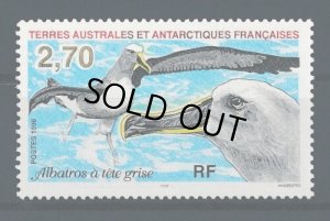 画像1: フランス領南極地域切手　1998年　鳥　ハイガシラアホウドリ　1種