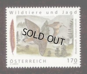 画像1: オーストリア切手 　2014年　鳥　ヤマシギ　狩猟　1種
