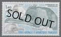 フランス領南極地域切手　1979年　鳥　ケルゲレンヒメウ　1種
