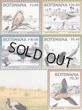 ボツワナ切手　2018年　鳥　カラハリ 生物多様性　ダルマイワシ　5種