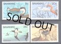 バハマ切手　1981年   鳥　カツオドリ  4種