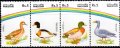 パキスタン切手1992年　鳥　マガモ　4種