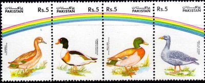 画像1: パキスタン切手1992年　鳥　マガモ　4種
