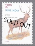 インド切手　1982年　鹿　野生生物保護　1種